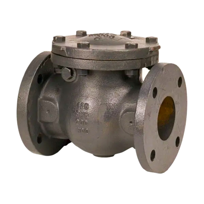 Coal Mine Check Valves